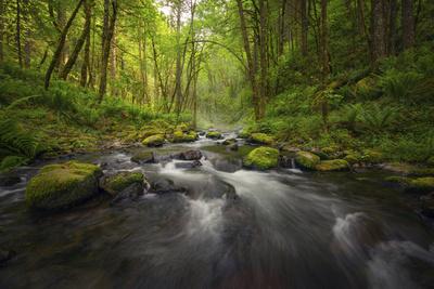 Premium Photographic Print, , small