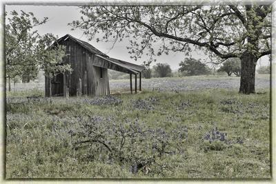 Photographic Print, , small