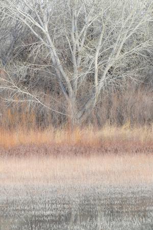 Photographic Print, , small