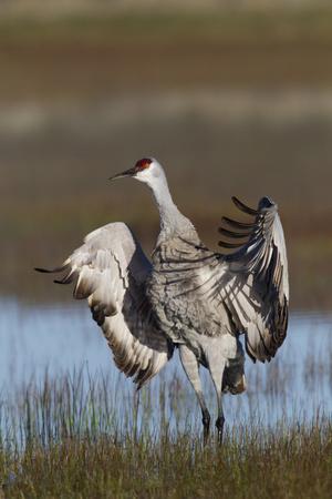 Photographic Print, , small