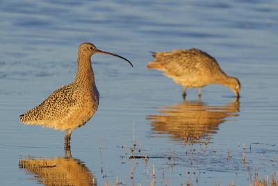 Photographic Print, , small