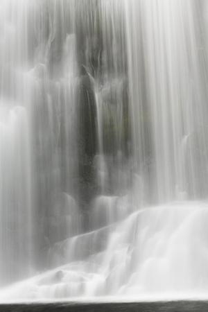 Photographic Print, , small