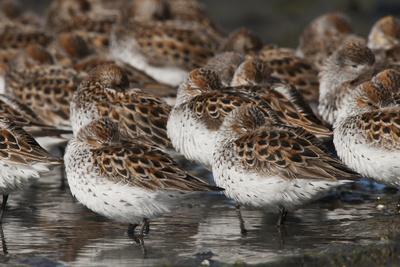 Photographic Print, , small