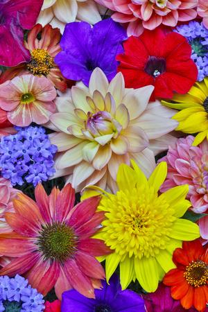 Premium Photographic Print, , small