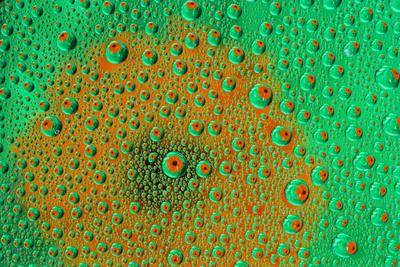 Premium Photographic Print, , small