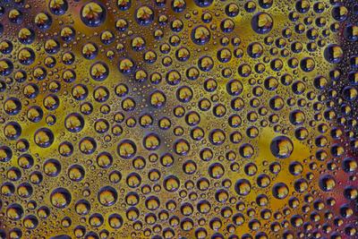 Photographic Print, , small