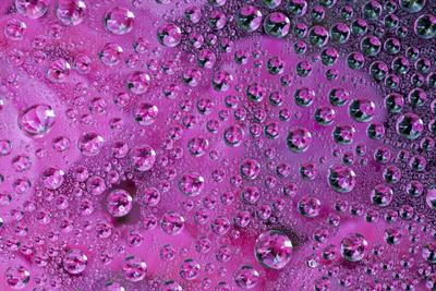 Photographic Print, , small