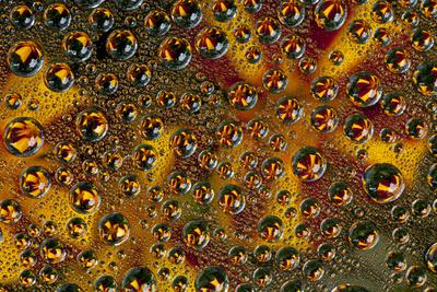 Premium Photographic Print, , small