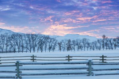 Premium Photographic Print, , small