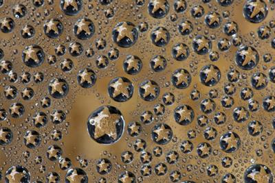 Premium Photographic Print, , small
