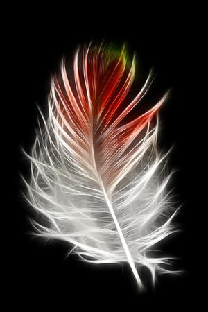 Premium Photographic Print, , small