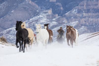 Photographic Print, , small