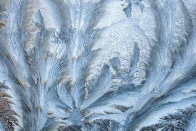 Photographic Print, , small