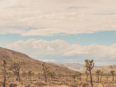 Premium Photographic Print, , small
