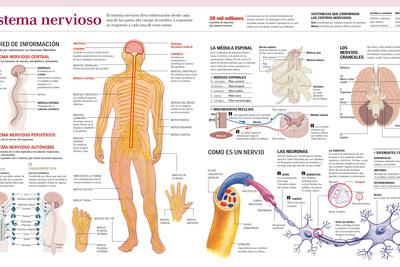 Photographic Print, , small