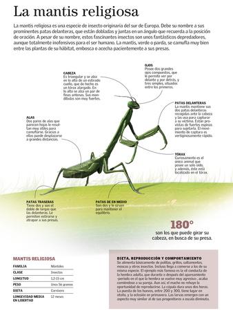 Photographic Print, , small