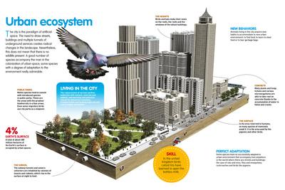 Photographic Print, , small