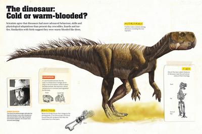 Photographic Print, , small