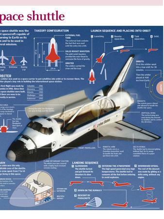 Photographic Print, , small