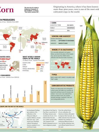 Photographic Print, , small