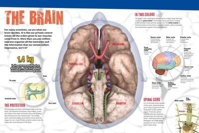 Photographic Print, , small