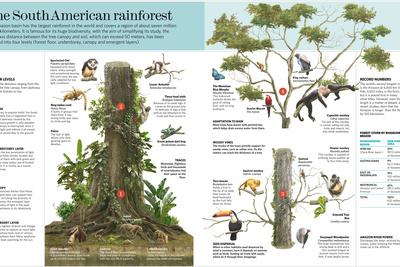 Photographic Print, , small