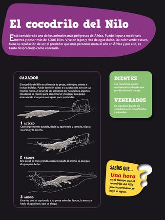 Photographic Print, , small