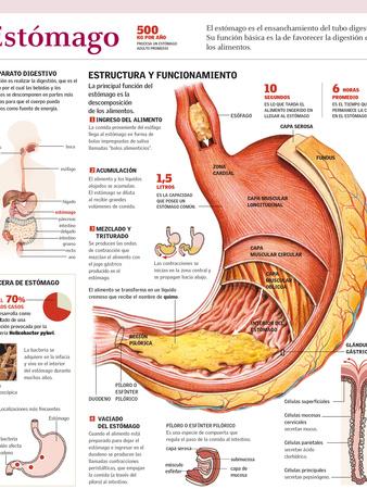 Photographic Print, , small