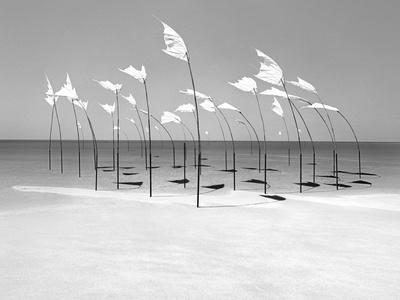 Photographic Print, , small