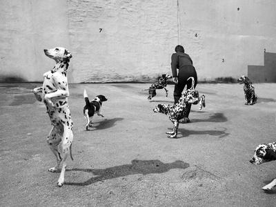 Photographic Print, , small