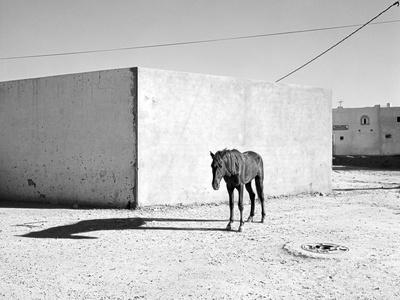Photographic Print, , small