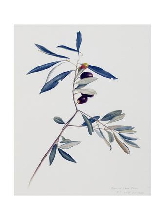 Premium Giclee Print, , small