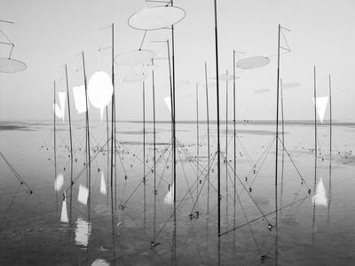 Photographic Print, , small