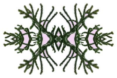 Photographic Print, , small