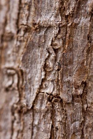 Photographic Print, , small