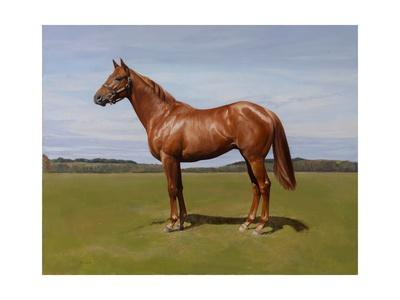 Premium Giclee Print, , small