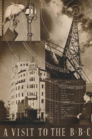 Photographic Print, , small