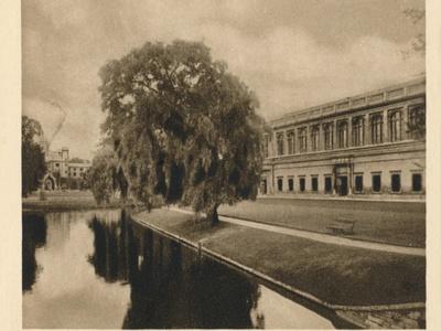 Photographic Print, , small