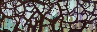 Photographic Print, , small