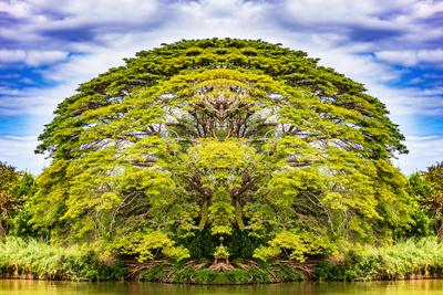 Photographic Print, , small