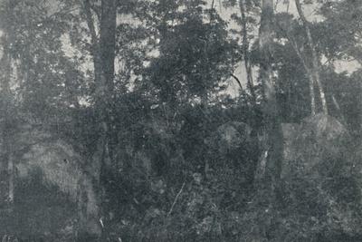 Photographic Print, , small