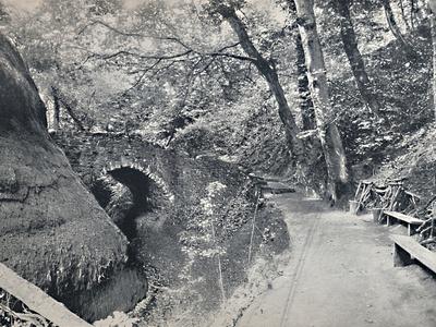 Photographic Print, , small