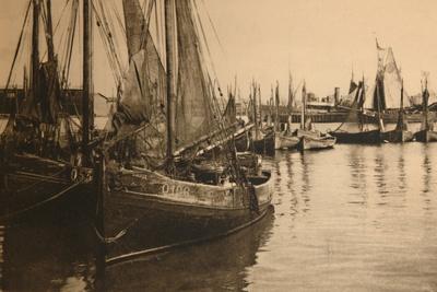Photographic Print, , small