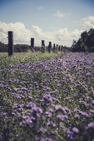 Photographic Print, , small