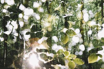 Photographic Print, , small