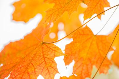 Photographic Print, , small