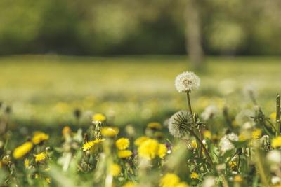 Photographic Print, , small