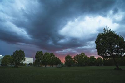 Photographic Print, , small