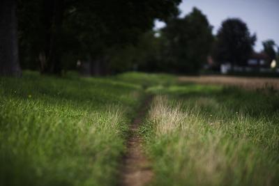 Photographic Print, , small