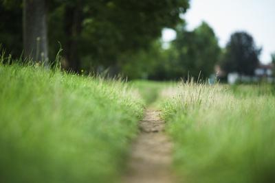 Photographic Print, , small